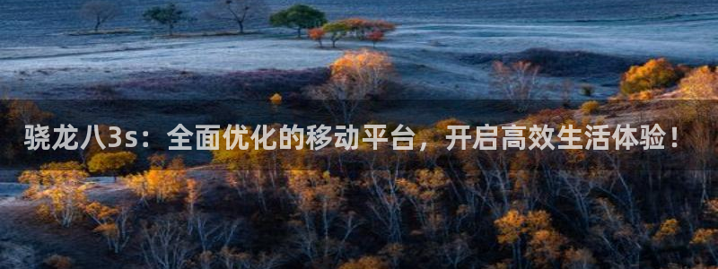 okooo澳客平台招商：骁龙八3s：全面优化的移动平台，开启高效生活体验！