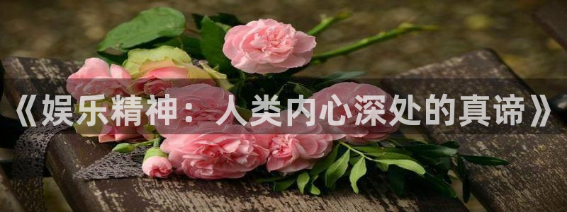 okooo澳客平台总代理：《娱乐精神：人类内心深处的真谛》