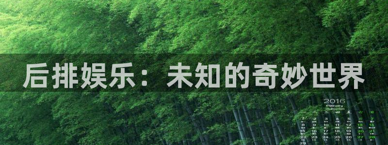 okooo澳客环保：后排娱乐：未知的奇妙世界