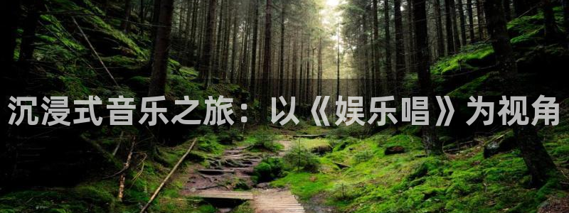 okooo澳客平台开户：沉浸式音乐之旅：以《娱乐唱》为视角