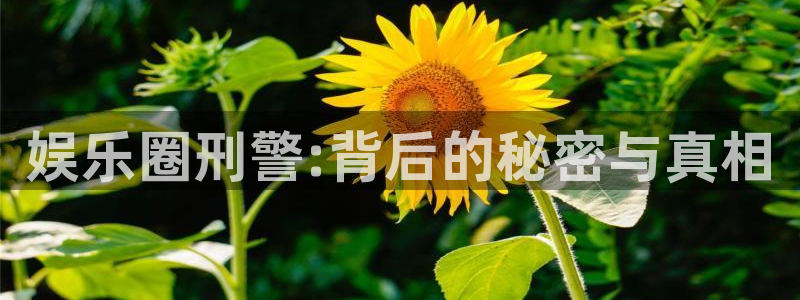 okooo澳客能源：娱乐圈刑警:背后的秘密与真相