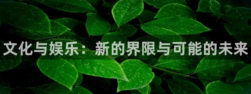 okooo澳客招商：文化与娱乐：新的界限与可能的未来