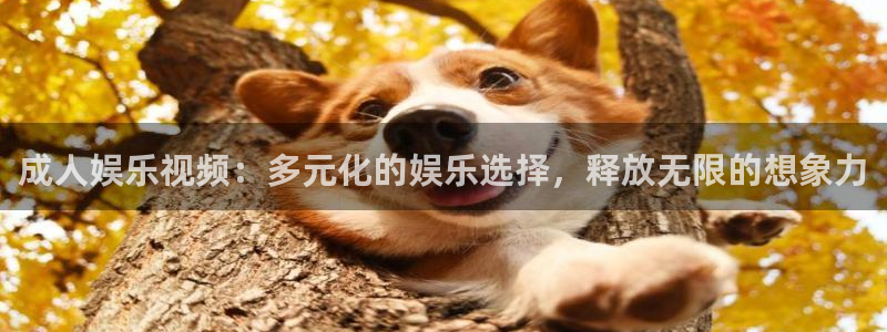 okooo澳客f凯捷平台在线注册：成人娱乐视频：多元化的娱乐选择，释放无限的想象