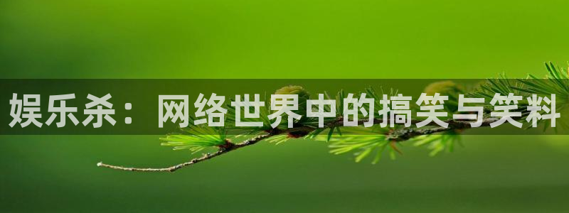 okooo澳客：娱乐杀：网络世界中的搞笑与笑料