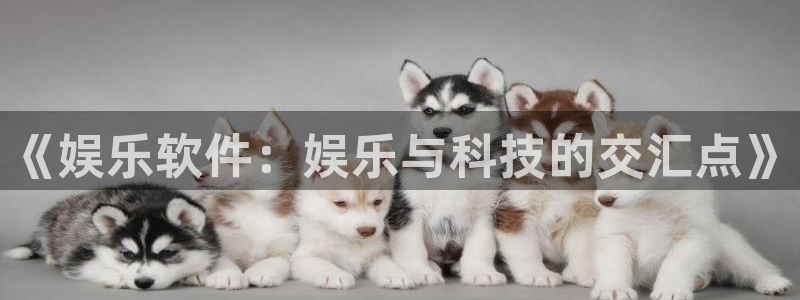 okooo澳客官网入口：《娱乐软件：娱乐与科技的交汇点》