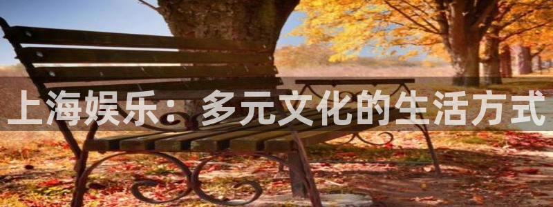 东莞市okooo澳客电子科技有限公司：上海娱乐：多元文化的生活方式