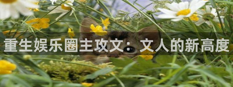 okooo澳客体育游戏：重生娱乐圈主攻文：文人的新高度