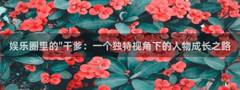 okooo澳客平台开户：娱乐圈里的\