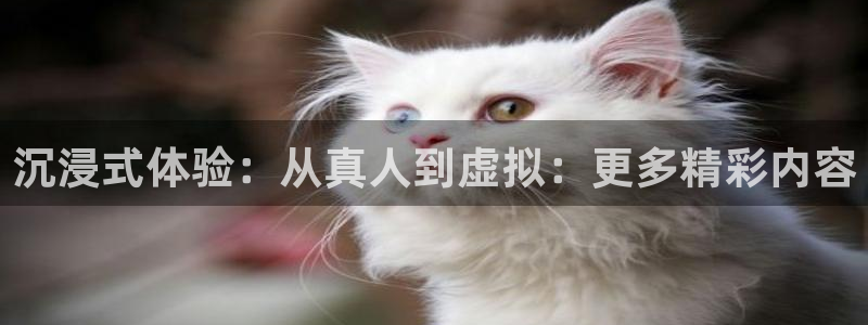 okooo澳客体育论坛：沉浸式体验：从真人到虚拟：更多精彩内容