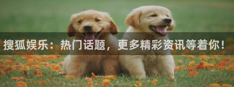 okooo澳客凯捷平台：搜狐娱乐：热门话题，更多精彩资讯等着你！
