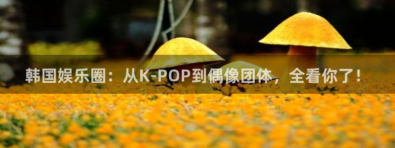 okooo澳客f平台注册：韩国娱乐圈：从K-POP到偶像团体，全看你了！